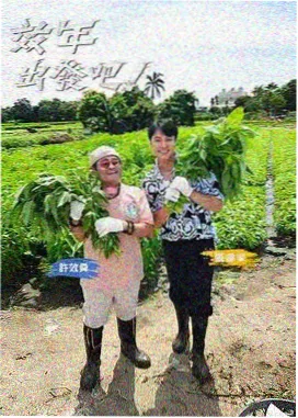 同袍 兄弟情义小说
