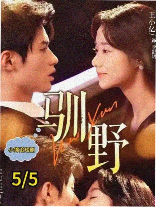 雨夜档案室 悬疑小说